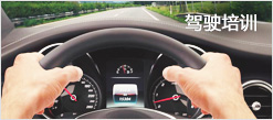 Đào tạo lái xe